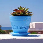 Appartement Blue Harmony