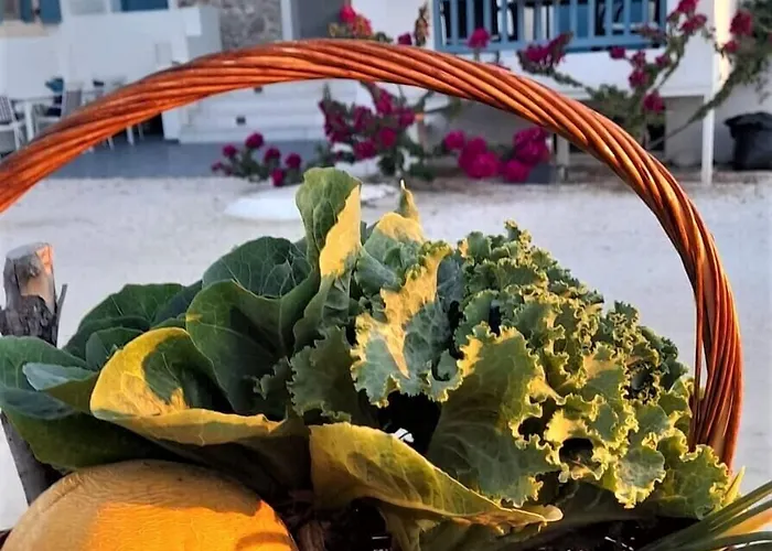 Blue Harmony Apartmán *