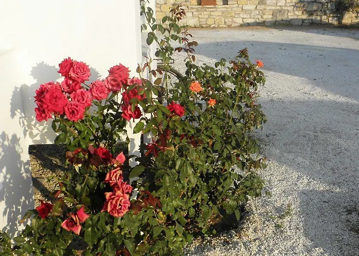 Blue Harmony Apartmán