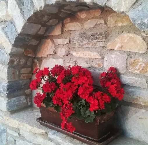 Blue Harmony Apartmán *