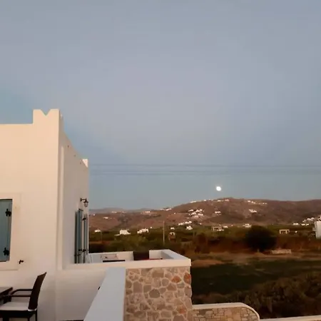 Blue Harmony Daire *