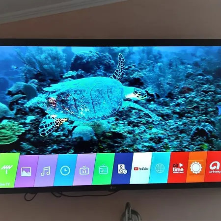 Daire Blue Harmony *