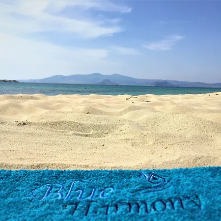 アパート Blue Harmony