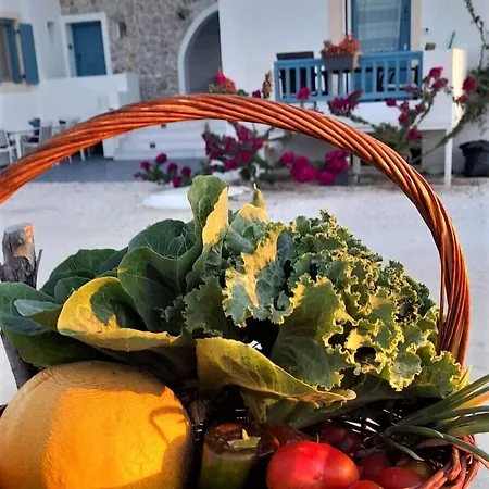 Blue Harmony Daire *