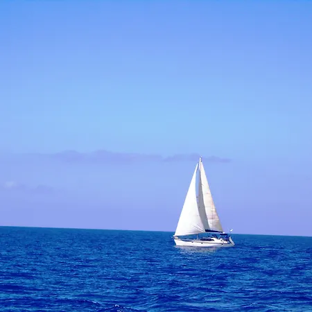 Blue Harmony *