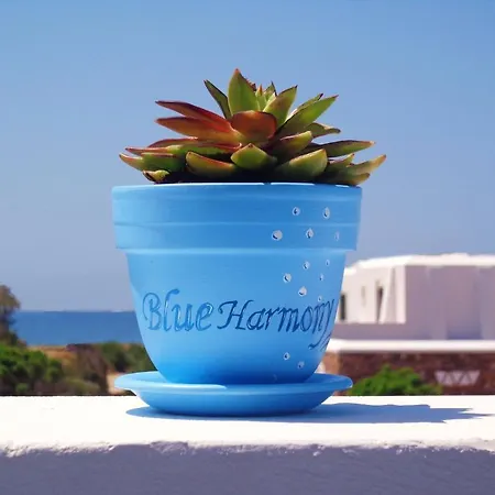 Apartment Blue Harmony