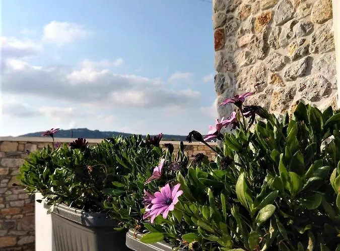 Blue Harmony Appartement